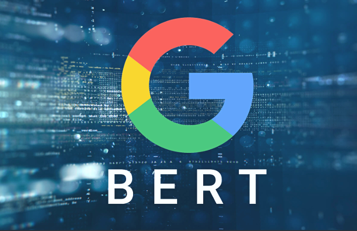 Google BERT Update